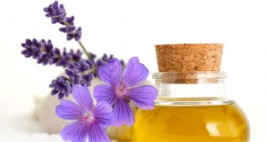 Treatment And Preventative Oils For Stretch Marks